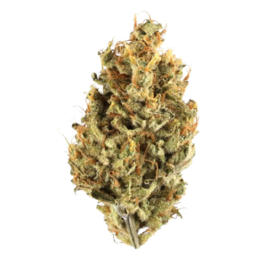 Junglato – 3.5g